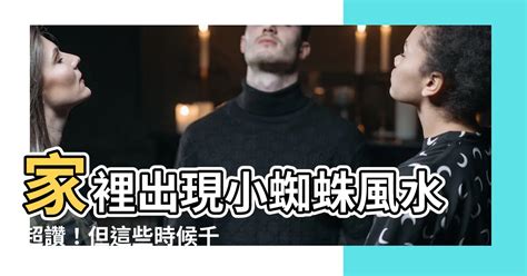 家裡出現小蜘蛛風水|家裡出現小蜘蛛風水5大優勢! 獨家資料! (2024年更新)